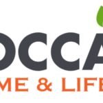 Freidoras sin aceite Jocca: Cocina saludable y deliciosa